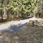 Bambi, Tatranska Pri Zubacke *