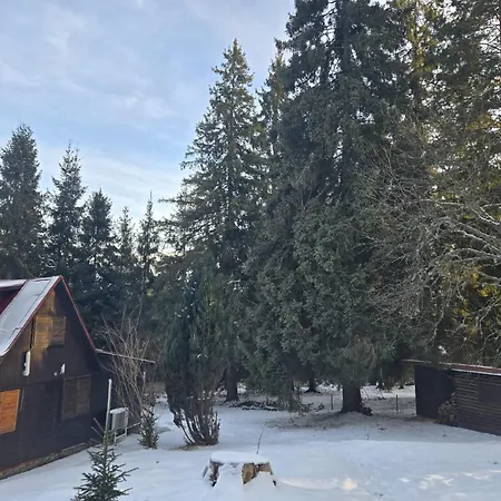 Bambi, Tatranska Pri Zubacke Horská chata