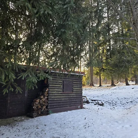 Bambi, Tatranska Pri Zubacke