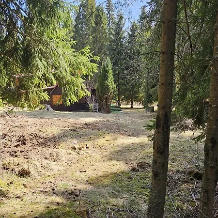 Bambi, Tatranska Pri Zubacke * Csorba