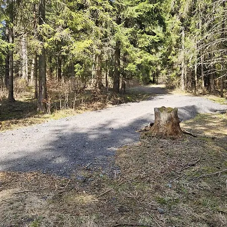 Bambi, Tatranska Pri Zubacke *
