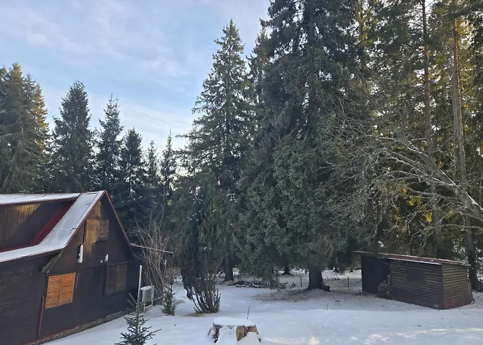 Bambi, Tatranska Pri Zubacke Alpesi faház