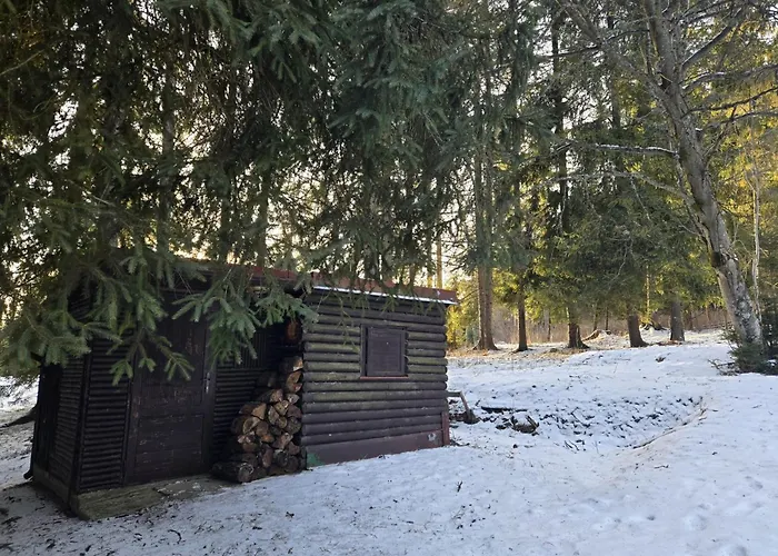 Bambi, Tatranska Pri Zubacke