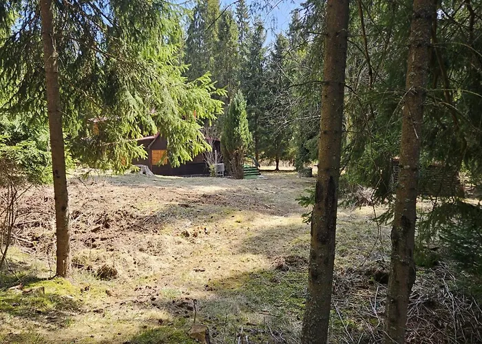 Bambi, Tatranska Pri Zubacke * Csorba