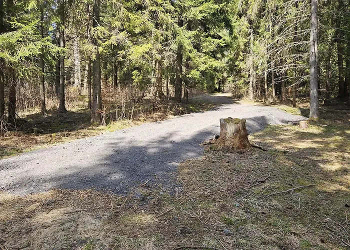 Bambi, Tatranska Pri Zubacke *